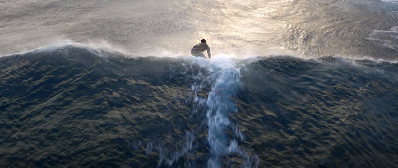 Surfing, SUP, Kitesurfing